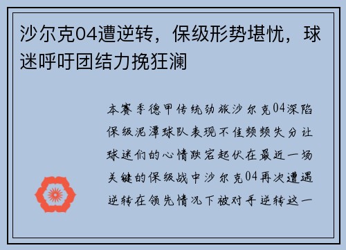 沙尔克04遭逆转，保级形势堪忧，球迷呼吁团结力挽狂澜