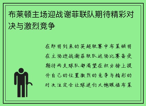 布莱顿主场迎战谢菲联队期待精彩对决与激烈竞争